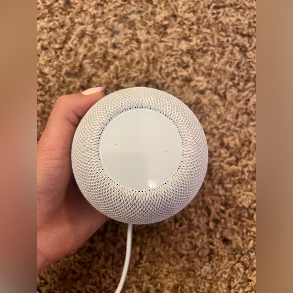 Apple home mini pod